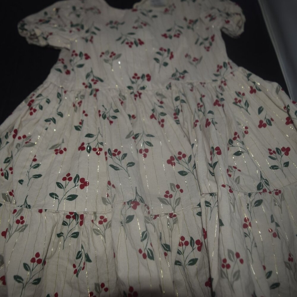 Carter's Child of Mine Holly Dress 3T
